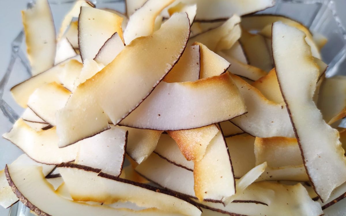 Receita de Chips de Coco na Airfryer